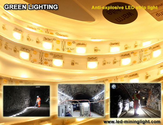 La prenda impermeable flexible 1500 de la tira del lum explsoive anti LED 60pcs llevó cada metro