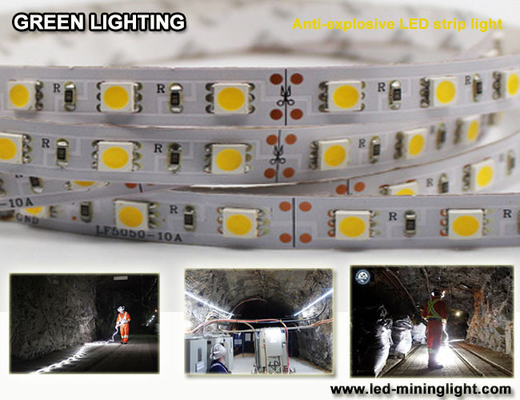 La prenda impermeable flexible 1500 de la tira del lum explsoive anti LED 60pcs llevó cada metro
