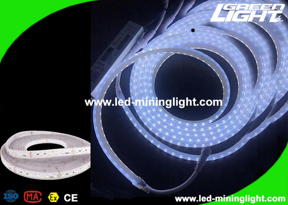 El metro industrial blanco fresco del alto brillo llevó voltio 300 LED de las luces de tira 24 garantía de 1 año
