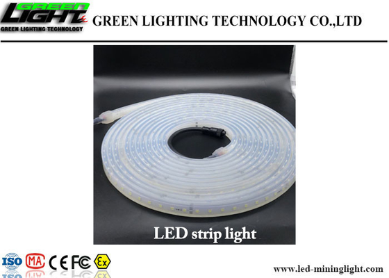 Luces de tira flexibles al aire libre del LED 60 LED/M High Brightness Fire resistente