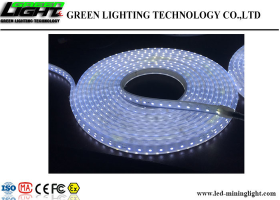Luces de tira flexibles al aire libre del LED 60 LED/M High Brightness Fire resistente