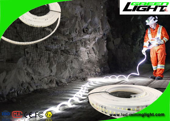Luces de tira flexibles de la prenda impermeable LED 24v 60 LED por el metro con garantía de 1 año
