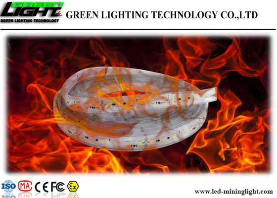 Luces de tira flexibles explosivas antis del LED DC 24V a prueba de golpes con el gel de silicona