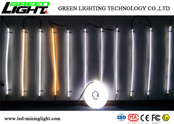 Flex Strip Rope Light llevado resistente a la corrosión SMD5050 para la instalación el hacer un túnel