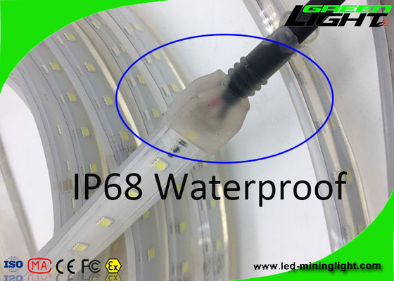 Prenda impermeable flexible material IP68 de las luces de tira de Sillicone 12v LED SMD 5050 50/60 HERZIOS