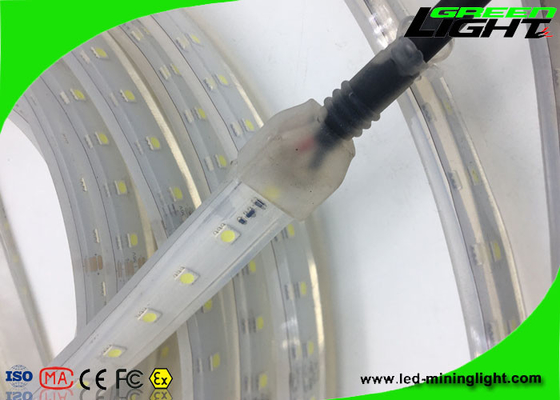 La prenda impermeable de 5050 Smd llevó resistente al fuego blanco brillante flexible 24v de las luces de tira