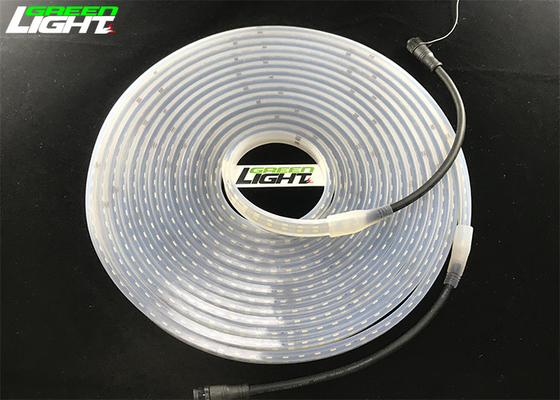 luz de tira industrial del 144LEDs/M SMD2835 LED SMD5050 2000lum blanco frío