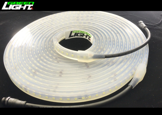 luz de tira industrial del 144LEDs/M SMD2835 LED SMD5050 2000lum blanco frío