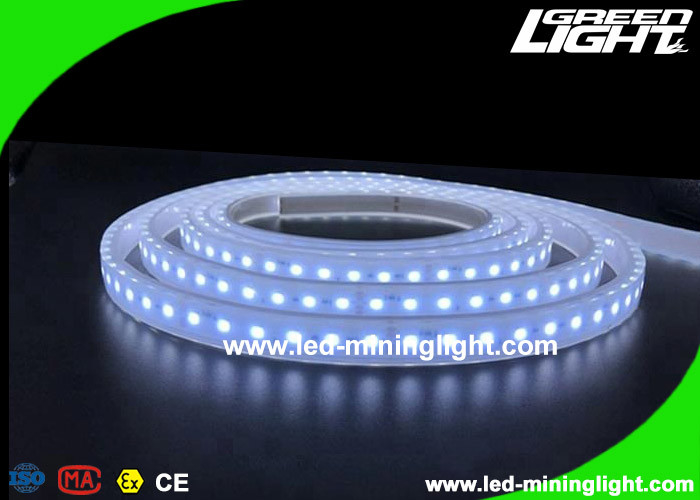La seguridad a prueba de explosiones llevó luces de tira flexibles de la cinta con los 5m 300 LED 24V IP68