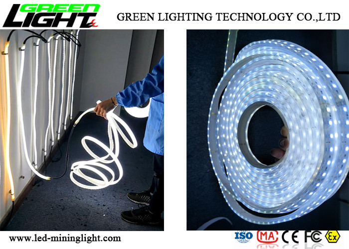 Flex Strip Rope Light llevado resistente a la corrosión SMD5050 para la instalación el hacer un túnel